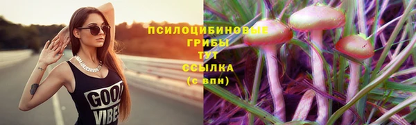 индика Аркадак