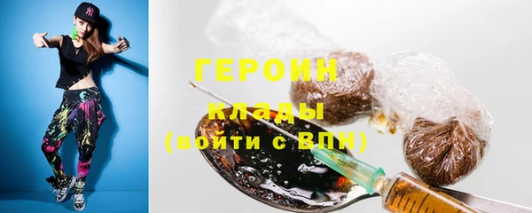 индика Аркадак