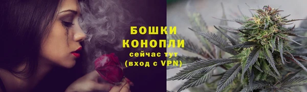 сатива Армянск