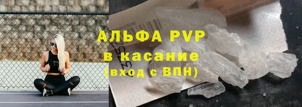 индика Аркадак