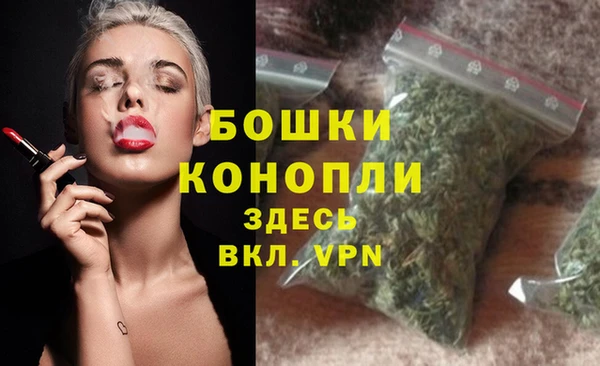 PSILOCYBIN Пересвет